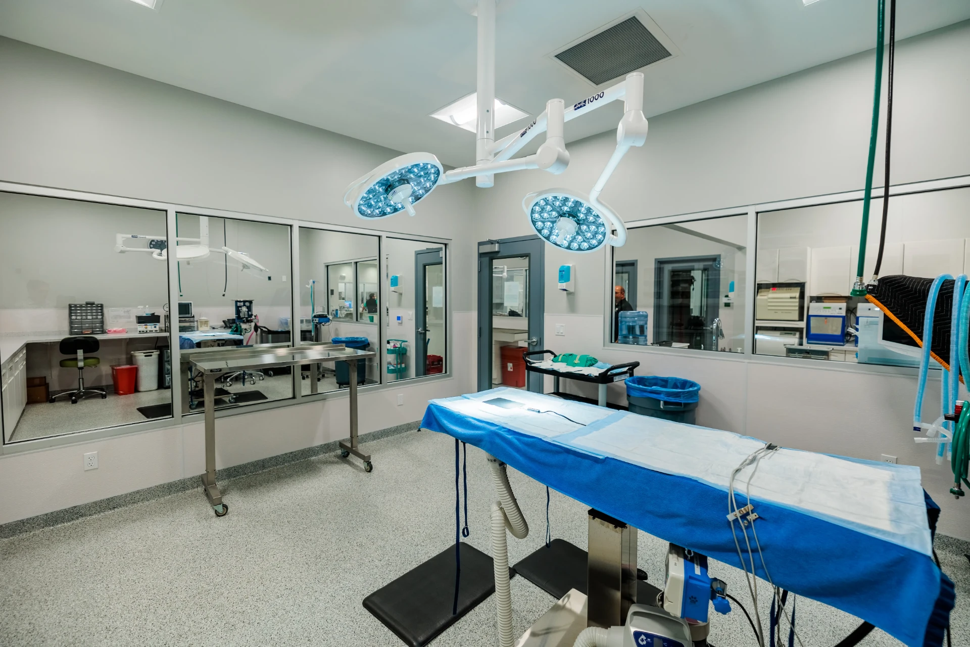 Glass-walled operating room at Allied Veterinary Specialists